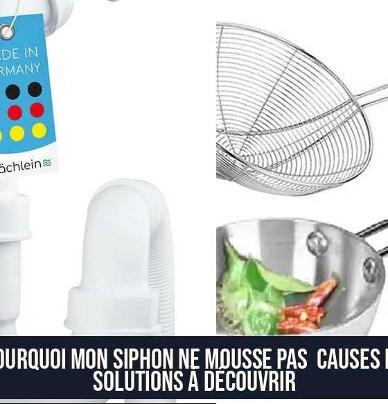 Pourquoi mon siphon ne mousse pas Causes et solutions à découvrir