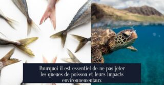 Pourquoi il est essentiel de ne pas jeter les queues de poisson et leurs impacts environnementaux