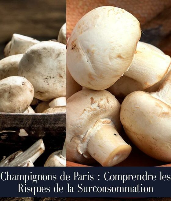 Champignons de Paris : Comprendre les Risques de la Surconsommation