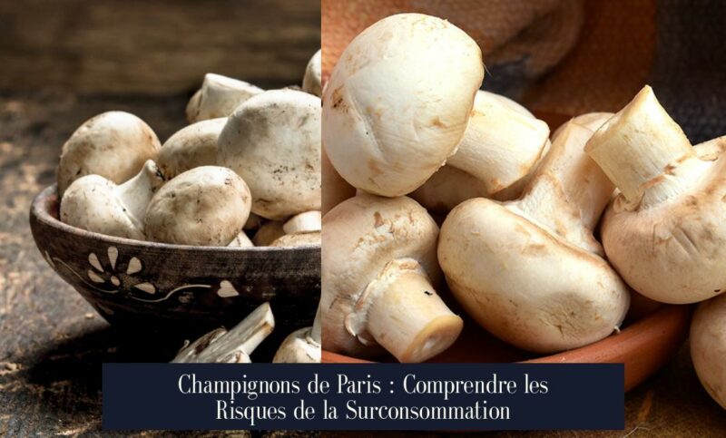 Champignons de Paris : Comprendre les Risques de la Surconsommation