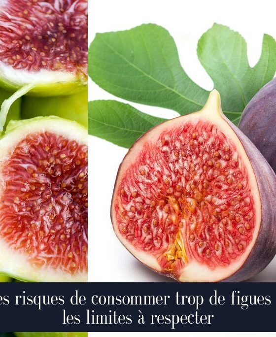 Les risques de consommer trop de figues et les limites à respecter