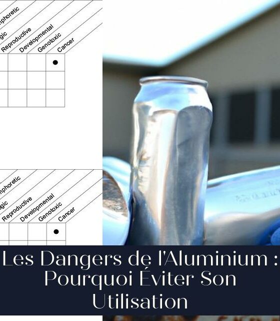 Les Dangers de l'Aluminium : Pourquoi Éviter Son Utilisation
