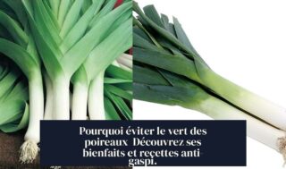 Pourquoi éviter le vert des poireaux Découvrez ses bienfaits et recettes anti-gaspi.