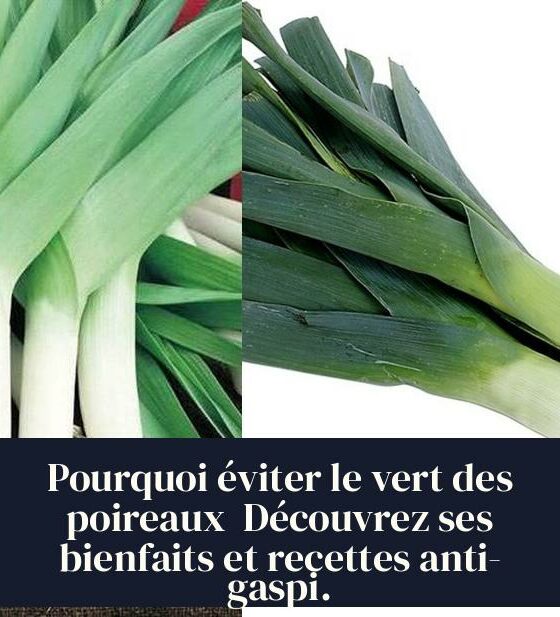 Pourquoi éviter le vert des poireaux Découvrez ses bienfaits et recettes anti-gaspi.