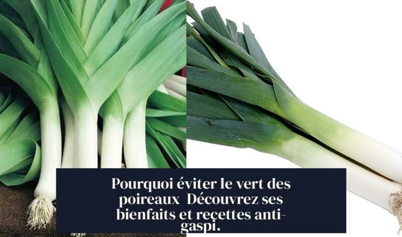Pourquoi éviter le vert des poireaux Découvrez ses bienfaits et recettes anti-gaspi.