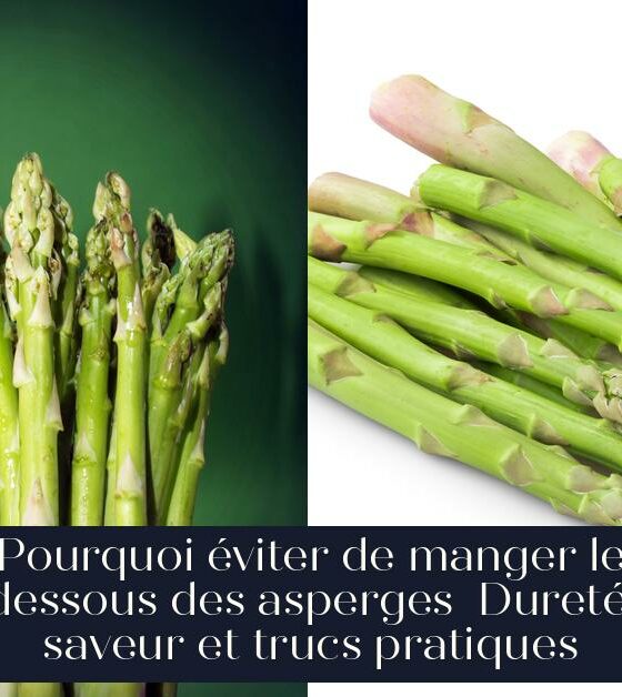 Pourquoi éviter de manger le dessous des asperges Dureté, saveur et trucs pratiques