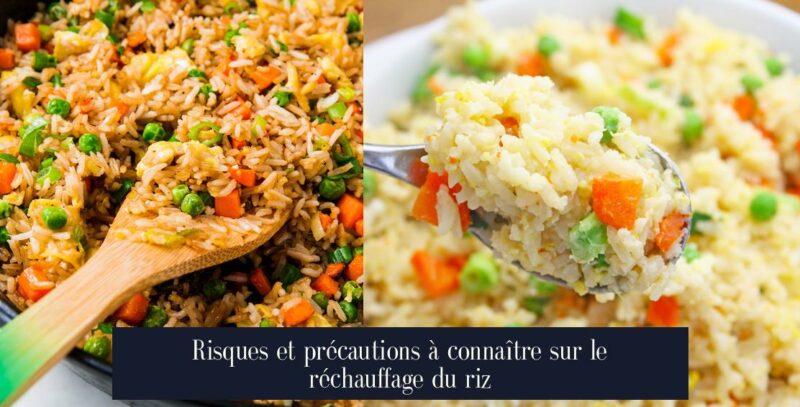 Risques et précautions à connaître sur le réchauffage du riz