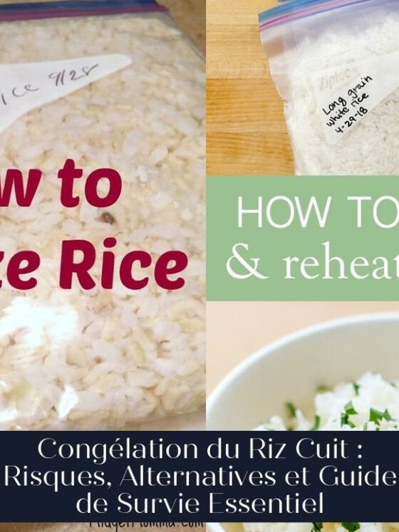 Congélation du Riz Cuit : Risques, Alternatives et Guide de Survie Essentiel