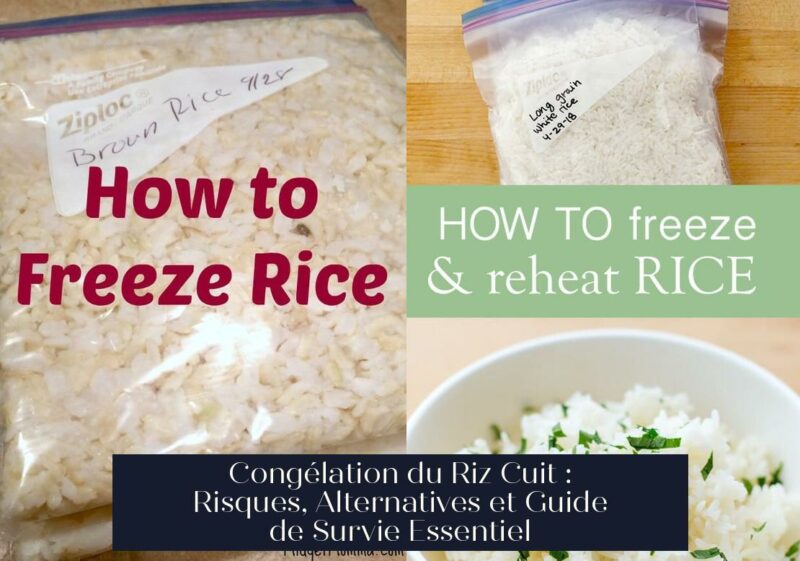 Congélation du Riz Cuit : Risques, Alternatives et Guide de Survie Essentiel