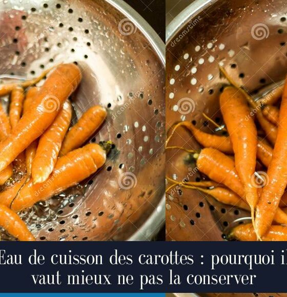 Eau de cuisson des carottes : pourquoi il vaut mieux ne pas la conserver