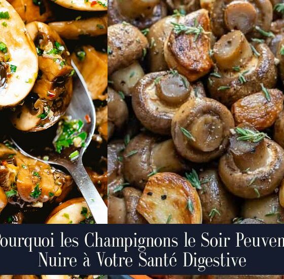Pourquoi les Champignons le Soir Peuvent Nuire à Votre Santé Digestive