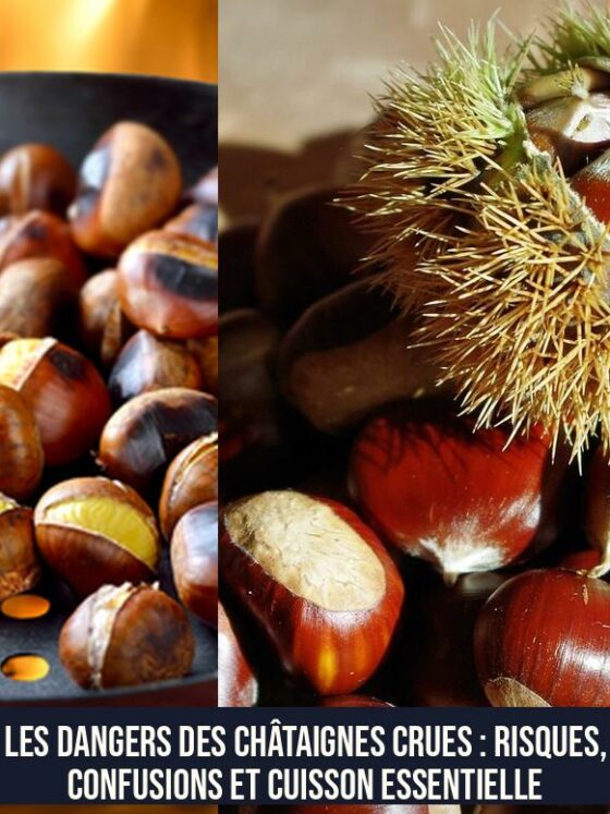 Les dangers des châtaignes crues : risques, confusions et cuisson essentielle
