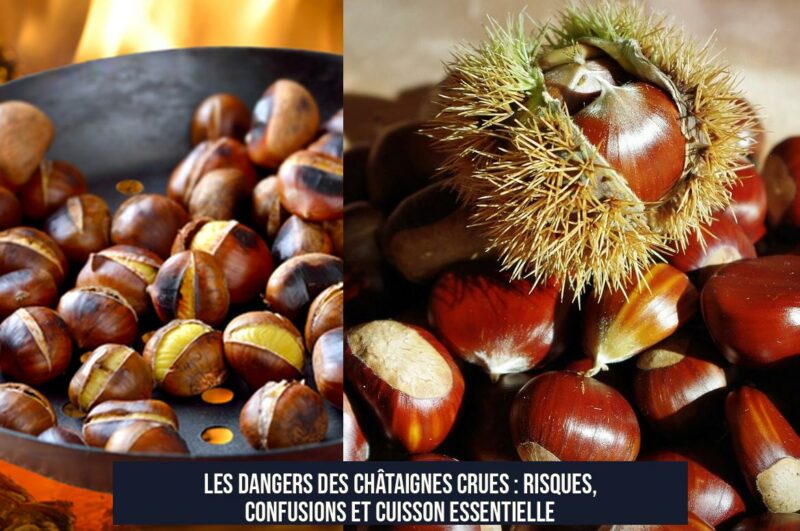 Les dangers des châtaignes crues : risques, confusions et cuisson essentielle