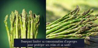 Pourquoi limiter sa consommation d'asperges pour protéger ses reins et sa santé