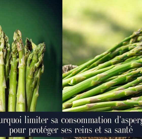 Pourquoi limiter sa consommation d'asperges pour protéger ses reins et sa santé