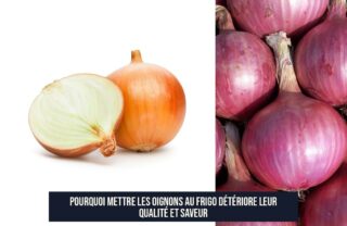 Pourquoi Mettre les Oignons au Frigo Détériore Leur Qualité et Saveur