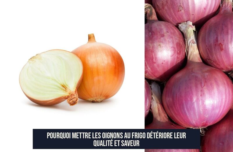 Pourquoi Mettre les Oignons au Frigo Détériore Leur Qualité et Saveur