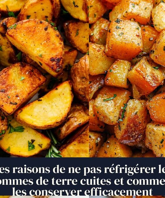 Les raisons de ne pas réfrigérer les pommes de terre cuites et comment les conserver efficacement