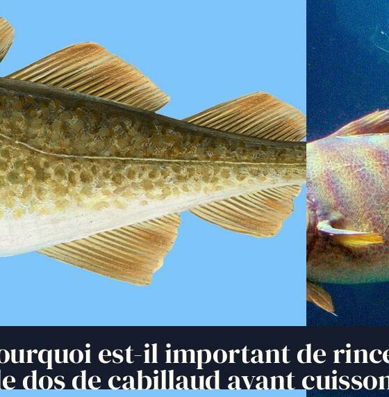 Pourquoi est-il important de rincer le dos de cabillaud avant cuisson