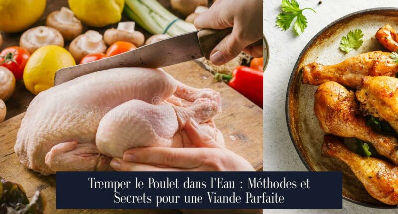 Tremper le Poulet dans l'Eau : Méthodes et Secrets pour une Viande Parfaite