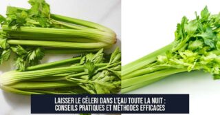 Laisser le céleri dans l’eau toute la nuit : conseils pratiques et méthodes efficaces