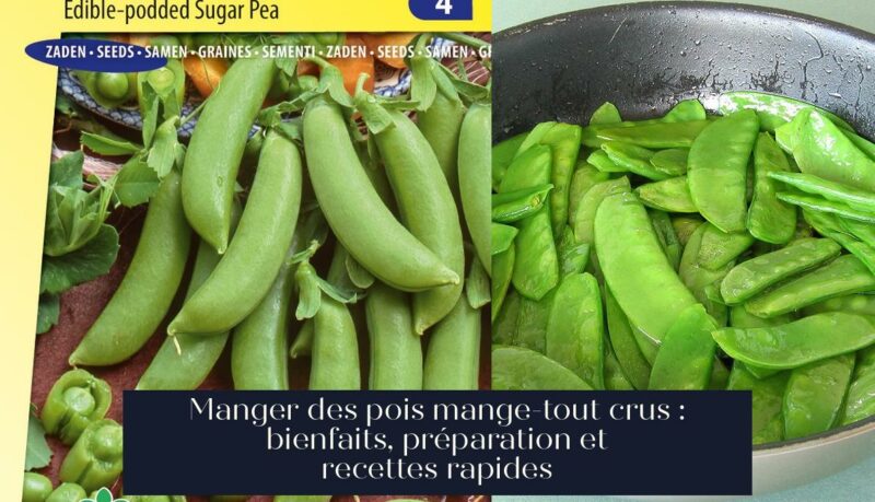 Manger des pois mange-tout crus : bienfaits, préparation et recettes rapides