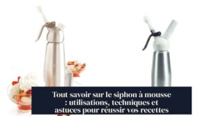 Tout savoir sur le siphon à mousse : utilisations, techniques et astuces pour réussir vos recettes