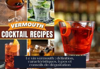 Le vin vermouth : définition, caractéristiques, types et conseils de dégustation