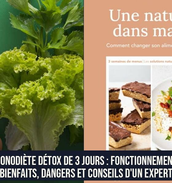 Monodiète détox de 3 jours : fonctionnement, bienfaits, dangers et conseils d'un expert