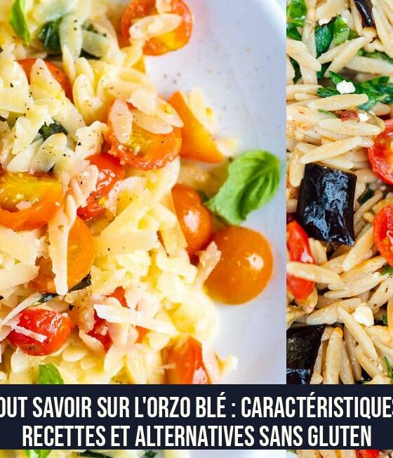 Tout savoir sur l'orzo blé : caractéristiques, recettes et alternatives sans gluten