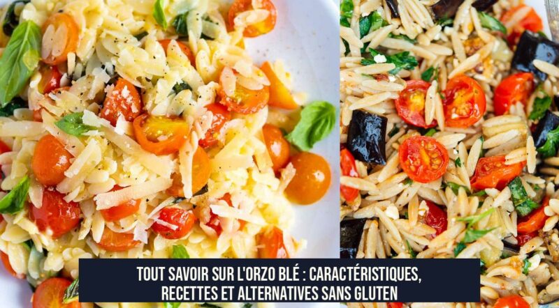 Tout savoir sur l'orzo blé : caractéristiques, recettes et alternatives sans gluten