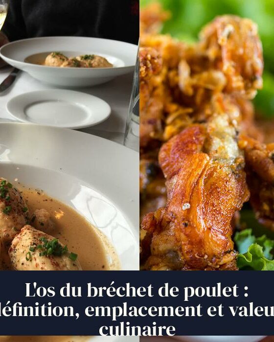 L'os du bréchet de poulet : définition, emplacement et valeur culinaire