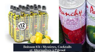 Boisson 851 : Mystères, Cocktails et Alternatives à l'Alcool