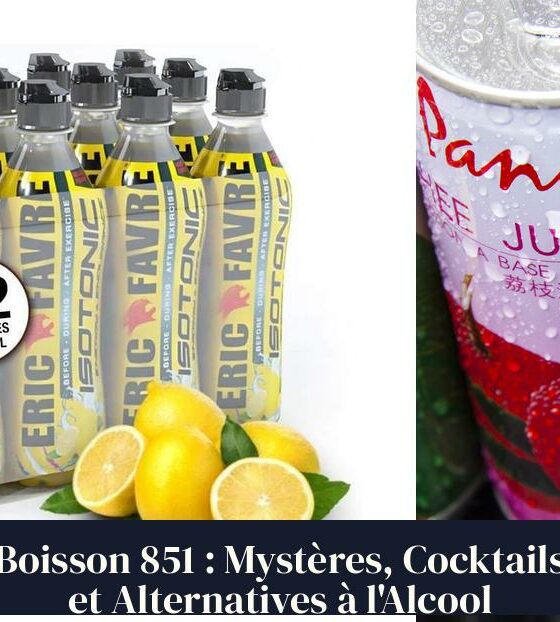 Boisson 851 : Mystères, Cocktails et Alternatives à l'Alcool