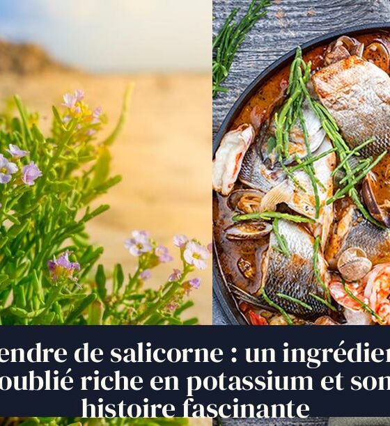 Cendre de salicorne : un ingrédient oublié riche en potassium et son histoire fascinante