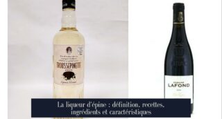La liqueur d'épine : définition, recettes, ingrédients et caractéristiques