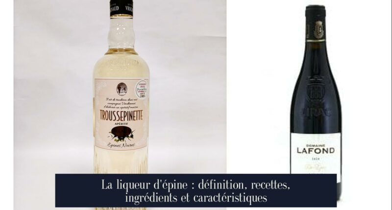 La liqueur d'épine : définition, recettes, ingrédients et caractéristiques