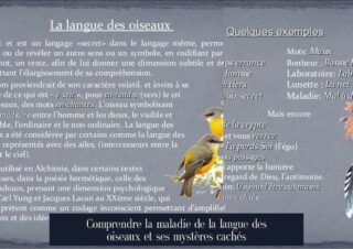 Comprendre la maladie de la langue des oiseaux et ses mystères cachés