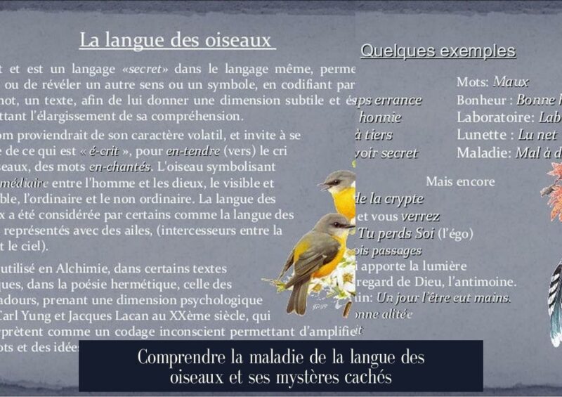 Comprendre la maladie de la langue des oiseaux et ses mystères cachés