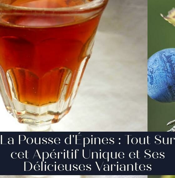 La Pousse d'Épines : Tout Sur cet Apéritif Unique et Ses Délicieuses Variantes