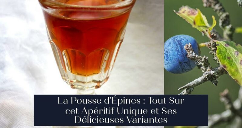 La Pousse d'Épines : Tout Sur cet Apéritif Unique et Ses Délicieuses Variantes