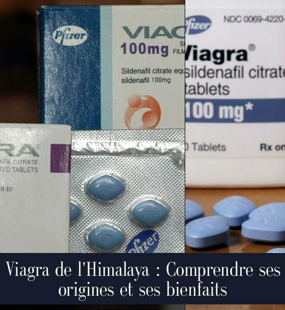 Viagra de l'Himalaya : Comprendre ses origines et ses bienfaits