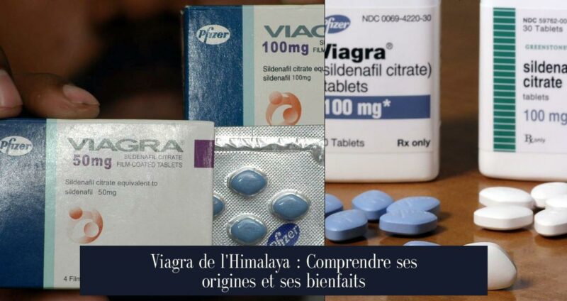 Viagra de l'Himalaya : Comprendre ses origines et ses bienfaits