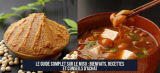 Le guide complet sur le miso : bienfaits, recettes et conseils d'achat