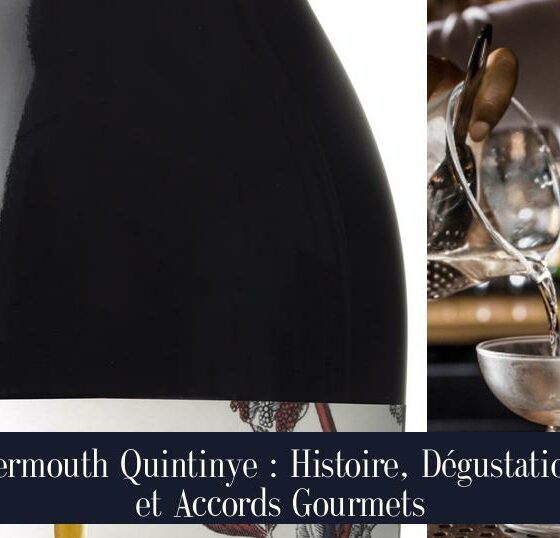 Vermouth Quintinye : Histoire, Dégustation et Accords Gourmets