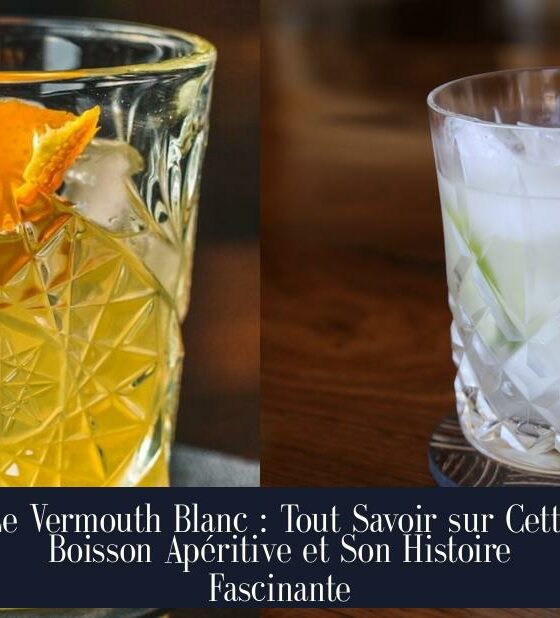 Le Vermouth Blanc : Tout Savoir sur Cette Boisson Apéritive et Son Histoire Fascinante