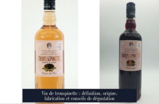 Vin de trouspinette : définition, origine, fabrication et conseils de dégustation