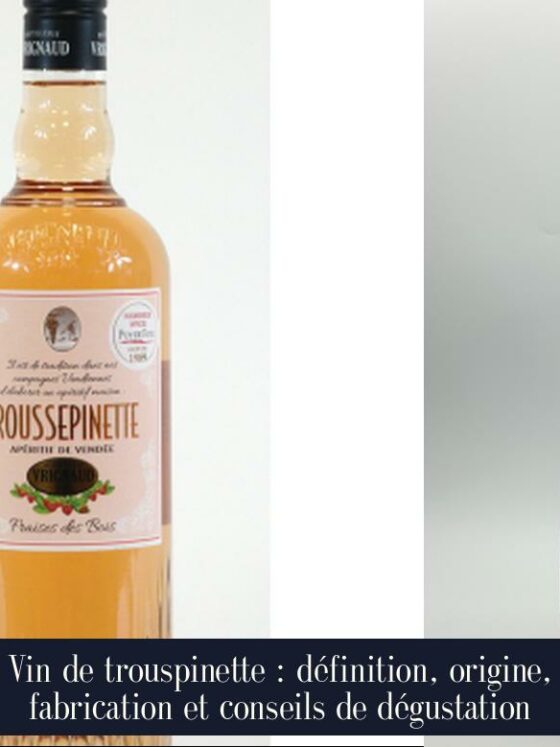 Vin de trouspinette : définition, origine, fabrication et conseils de dégustation
