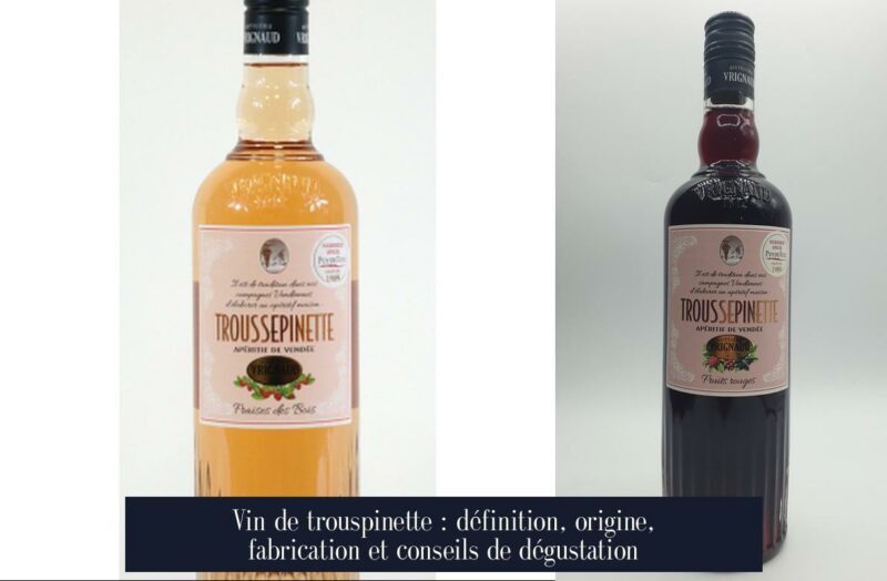Vin de trouspinette : définition, origine, fabrication et conseils de dégustation