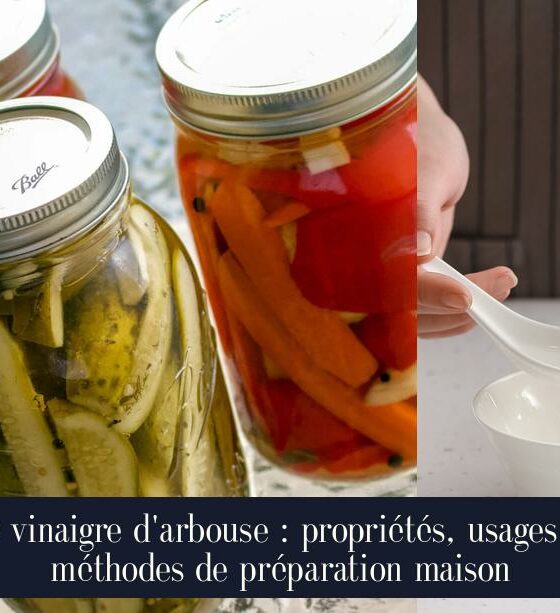 Le vinaigre d'arbouse : propriétés, usages et méthodes de préparation maison